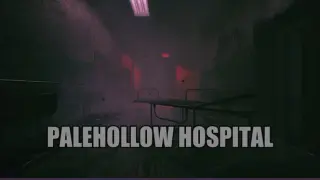 Palehollow Hospital | 灰谷医院