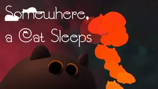 Somewhere, A Cat Sleeps