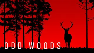 Odd Woods
