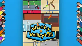 Wacky Volleyball