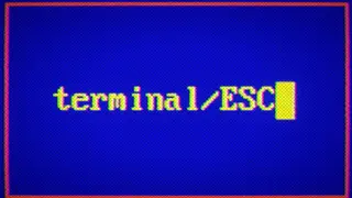 Terminal ESC