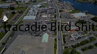 Tracadie Bird Shit