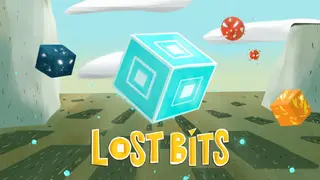 Lost Bits
