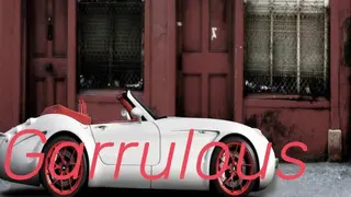 Garrulous
