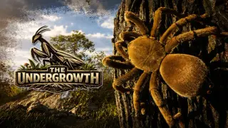 The Undergrowth