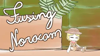 Fusing Noracam