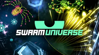 Swarm Universe