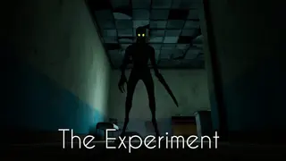 The Experiment