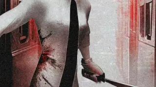 Plastomorphosis - Switch