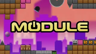 MODULE