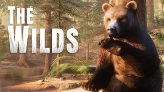 The WILDS