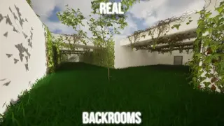 Real backrooms