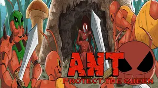 Ant protect the queen
