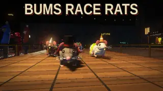 Bums Race Rats
