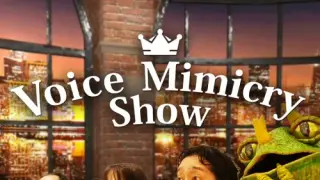 Voice Mimicry Show - Switch