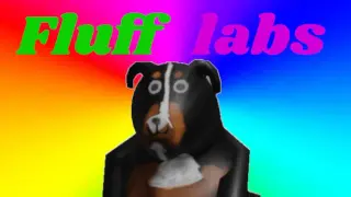 Fluff labs