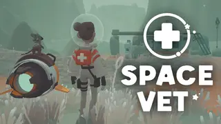Space Vet