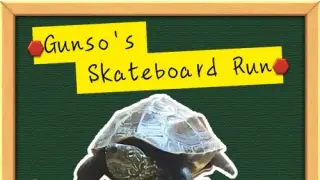 Gunso's Skateboard Run - Switch