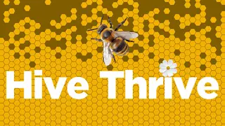 Hive Thrive