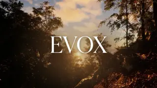 EvoX