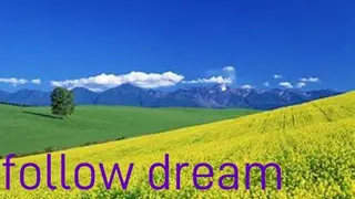 follow dream