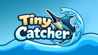 Tiny Catcher