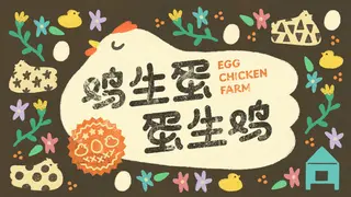 Egg Chicken Farm