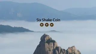 Six Shake Coin