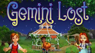 Gemini Lost