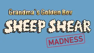 Grandma's Golden Boy: Sheep Shear Madness