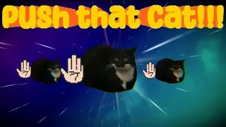 Push That Cat!!