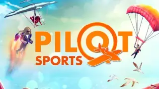Pilot Sports - Switch
