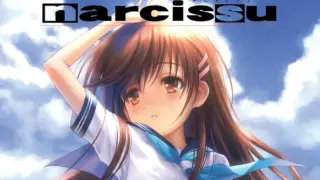 Narcissu 1st & 2nd