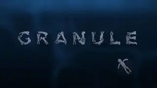 Granule