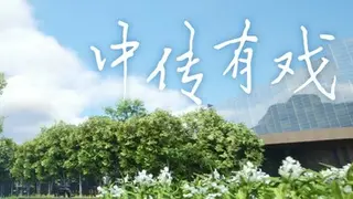 中传有戏
