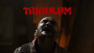 Tribulum
