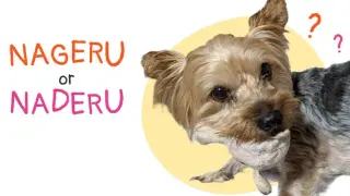γͺγγorγͺγ§γ