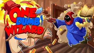 One Dumb Wizard