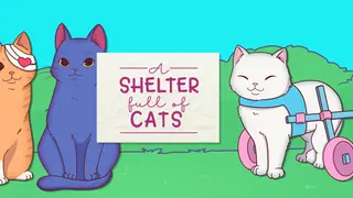 A Shelter Full of Cats