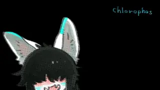 Chlorophos