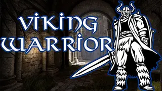 Viking Warrior