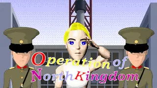 Operation of North Kingdom