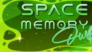 Space Memory: Owls
