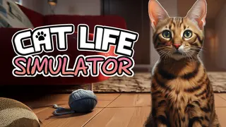 Cat Life Simulator
