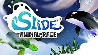 Slide - Animal Race
