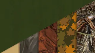 theHunter: Call of the Wild - Layton Lake Cosmetic Pack - PS4