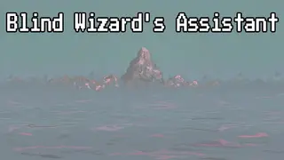 Blind wizard's assistant