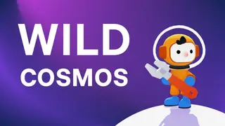 Wild Cosmos