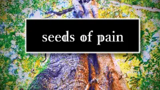 Seeds of Pain