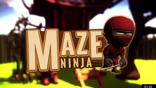 Maze Ninja